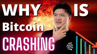Why Is Bitcoin Crashing? What Will Happen Next??? (MUST WATCH)