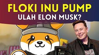 Token Micin FLOKI INU Pump 200% Ulah Elon Musk? TVL di Flokifi Naik Signifikan !!