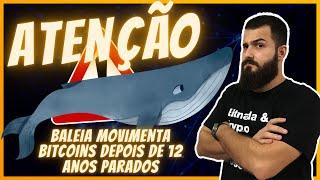 BALEIA ADORMECIDA VOLTA AO MERCADO