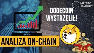 Dogecoin wystrzelił o 20%! - Analiza on-chain #118