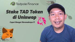 Cara Stake TAD di Uniswap LP Tokens - TADPOLE Finance