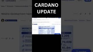 Cardano & Ripple: Damit rechnet NIEMAND!