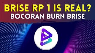 Bocoran BURN 99% Koin BRISE (Bitgert) !! Strategi Pump BRISE Token & Adopsi Bitgert Blockchain