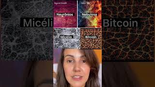 Bitcoin é um COGUMELO!