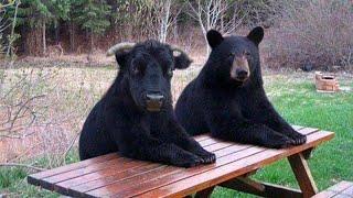 Bitcoin - nie okłamuj sam siebie