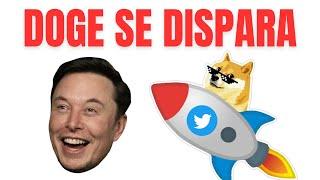 DOGE sube 30% gracias a Elon Musk