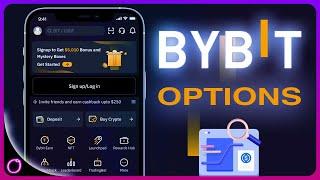 What are Options in investing (Bybit)