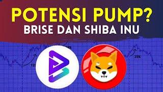 BRISE (Bitgert) & SHIBA INU akan Pump? Shibarium BETA is LIVE !!