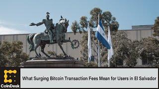What Surging Bitcoin Transaction Fees Mean for Users in El Salvador
