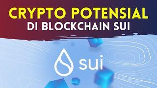 Koin CRYPTO POTENSIAL di SUI Blockchain yang Berpotensi PUMP? 2023 Tahun SUI & Aptos?