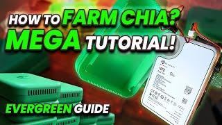 How To Set Up Evergreen Miner the BEST Chia XCH Farmer!