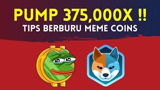 21 Hari PUMP 375,000X !! Tips Mencari Meme Coin POTENSIAL Seperti PEPE & AIDOGE