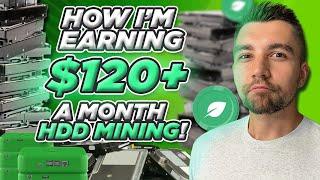 Here's How I Am Earning $120+ PER MONTH Mining Chia With Hard Drives!