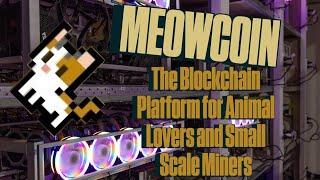 Inside Meowcoin: Co-Founder Interview on Crypto for Good