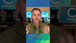 Los #Dex son económicamente viables? #shorts