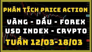 Phân Tích VÀNG - DẦU - FOREX - USD INDEX - CRYPTO Theo Price Action Tuần 12-18/03 | TraderViet