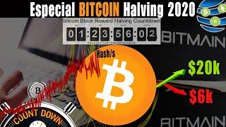 Que pasará despues del HALVING de Bitcoin 2020?