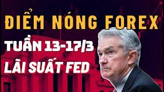 Điểm Nóng Forex Tuần 13-17/03  - Định Đoạt Mức Tăng Lãi Suất Của FED! | TraderViet