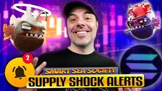 This INSANE Tool Signals When to Buy NFTs for Profit! - Smart Sea Society