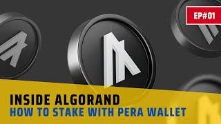 INSIDE ALGORAND | EP.01 | HOW TO STAKE ALGO WITH PERA WALLET